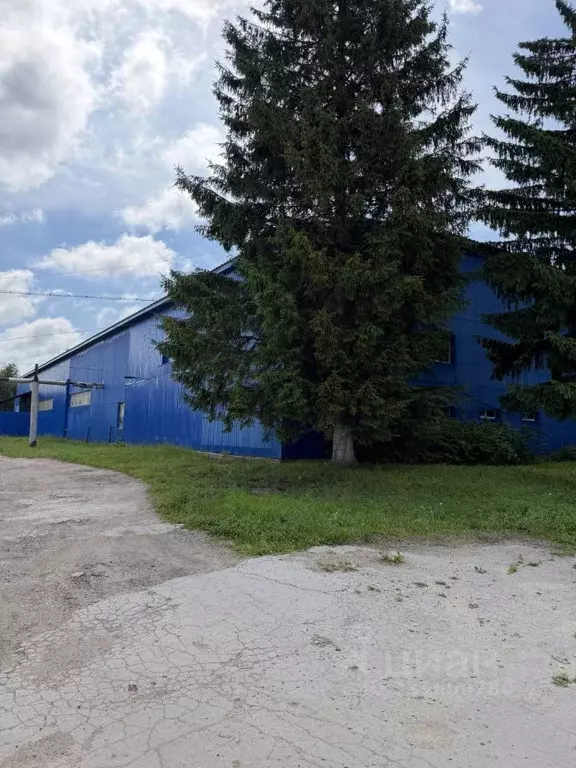 Помещение свободного назначения в Тульская область, Арсеньево рп ул. ... - Фото 1