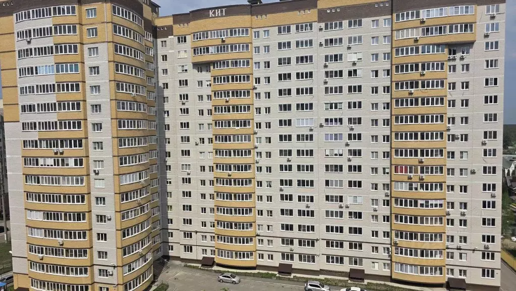 1-к кв. Воронежская область, Воронеж ул. Летчика Филипова, 4 (48.7 м) - Фото 1