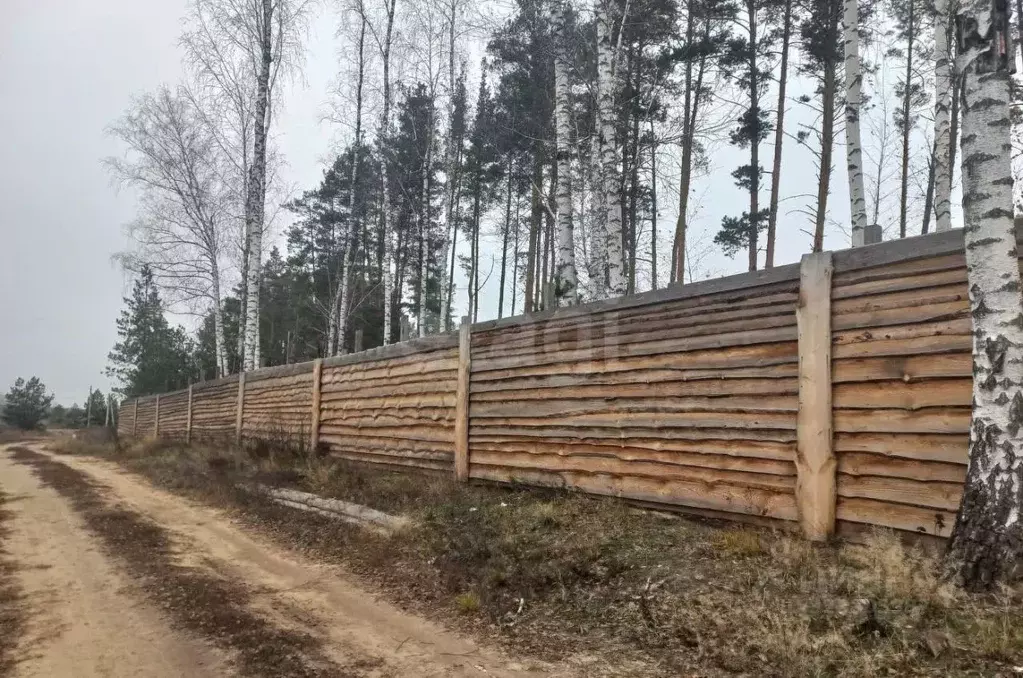 Участок в Воронежская область, Рамонский район, Новоживотинновское ... - Фото 2