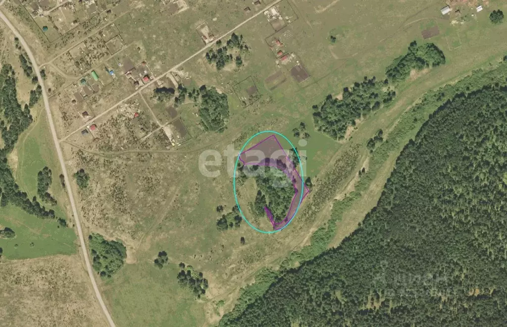 Участок в Красноярский край, Емельяновский муниципальный округ, ... - Фото 1