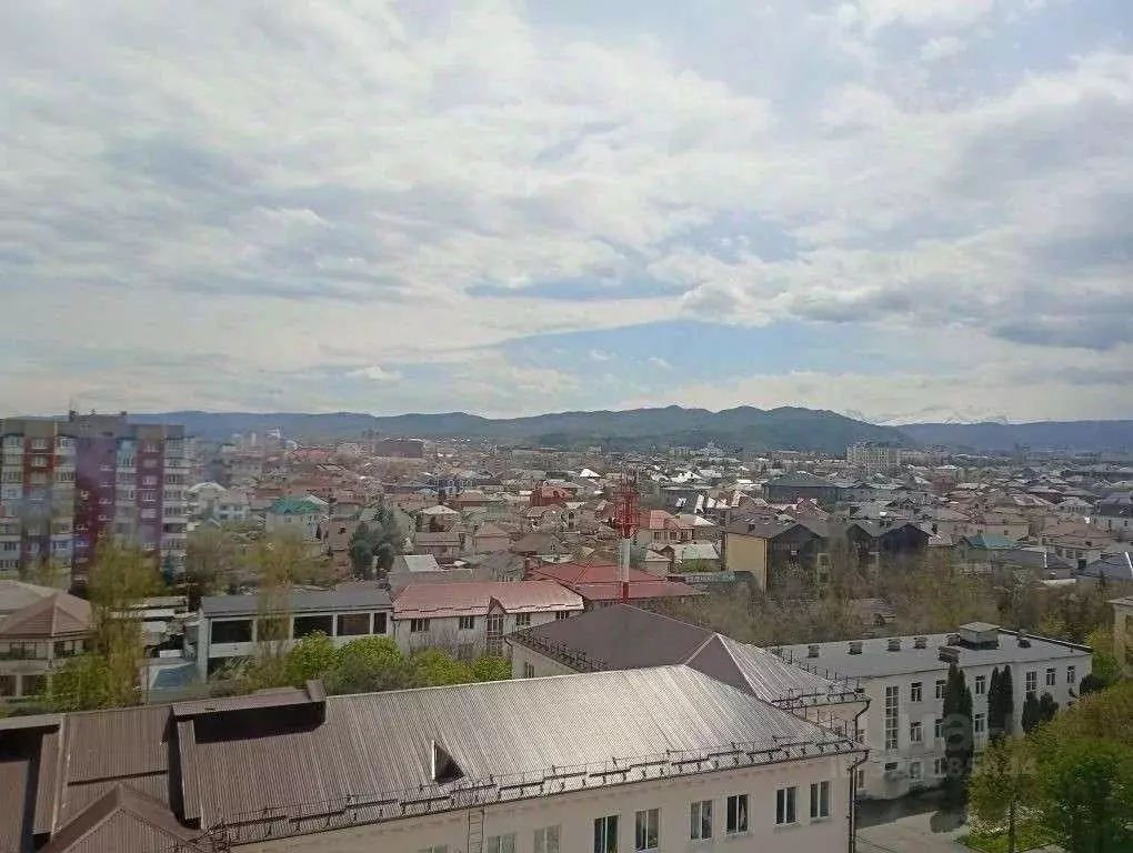 2-к кв. Кабардино-Балкария, Нальчик ул. Чернышевского, 167 (78.4 м) - Фото 2