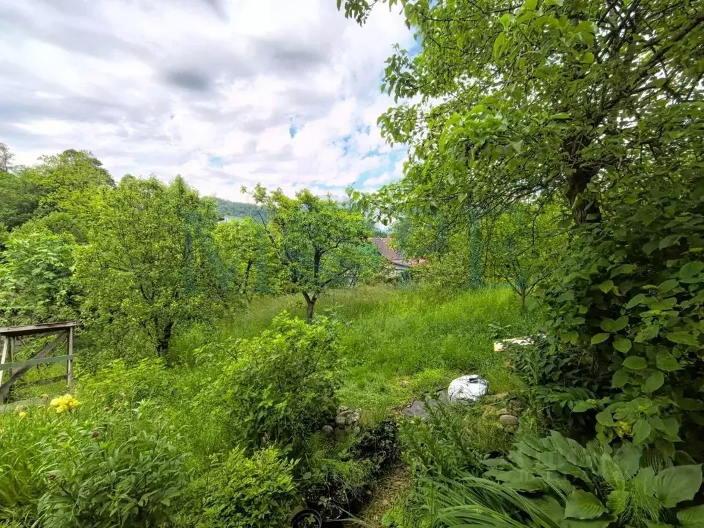 Участок в Краснодарский край, Сочи Нижняя Хобза мкр, ул. ... - Фото 2