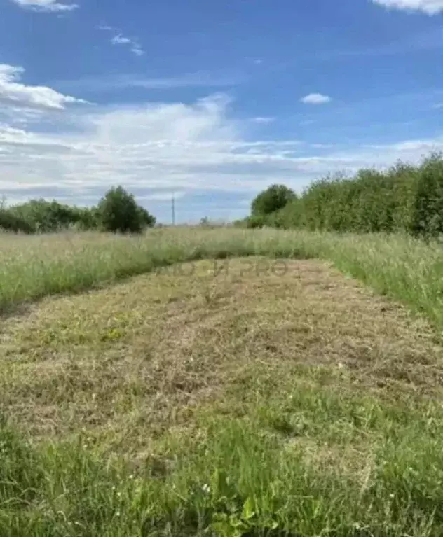 Участок в Башкортостан, с. Буздяк ул. Молодежная, 31 (10.5 сот.) - Фото 2