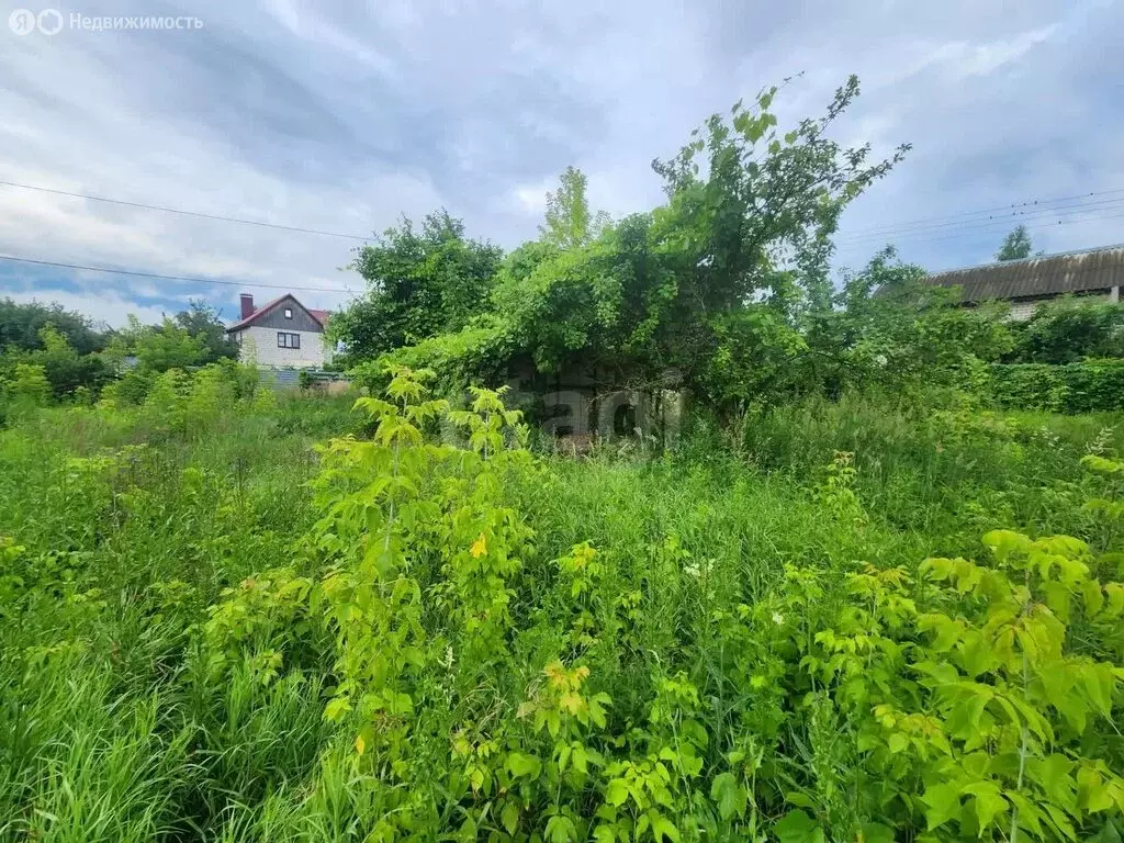 Дом в Брянск, садоводческое общество Заречное (24 м) - Фото 2