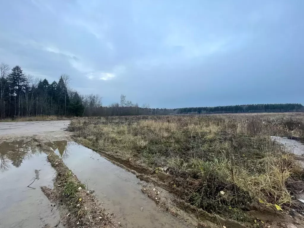 Участок в Московская область, Химки городской округ, д. Поярково, ... - Фото 1