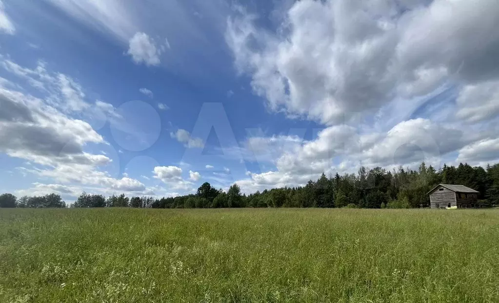 Участок 9,2 сот. (ИЖС) - Фото 0