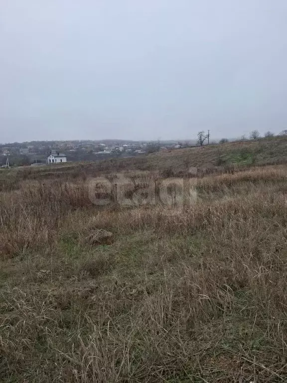Участок в Ростовская область, Аксайский район, Большой Лог хут. ул. ... - Фото 1