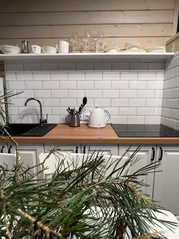 Дом в Ленинградская область, Приозерский район, Ромашкинское с/пос, ... - Фото 2