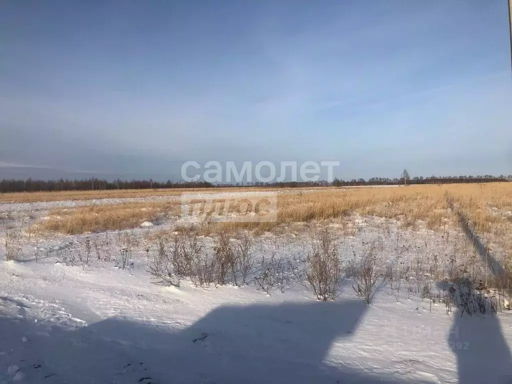 Участок в Московская область, Луховицы городской округ, д. Павловское ... - Фото 1