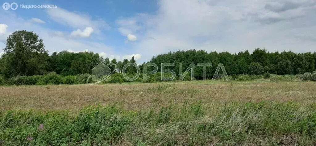 Участок в Тюменский район, село Борки (55.17 м) - Фото 0