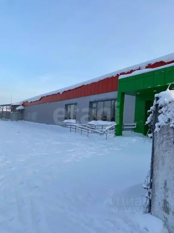 Торговая площадь в Брянская область, Новозыбков ул. Рошаля, 42 (486 м) - Фото 1