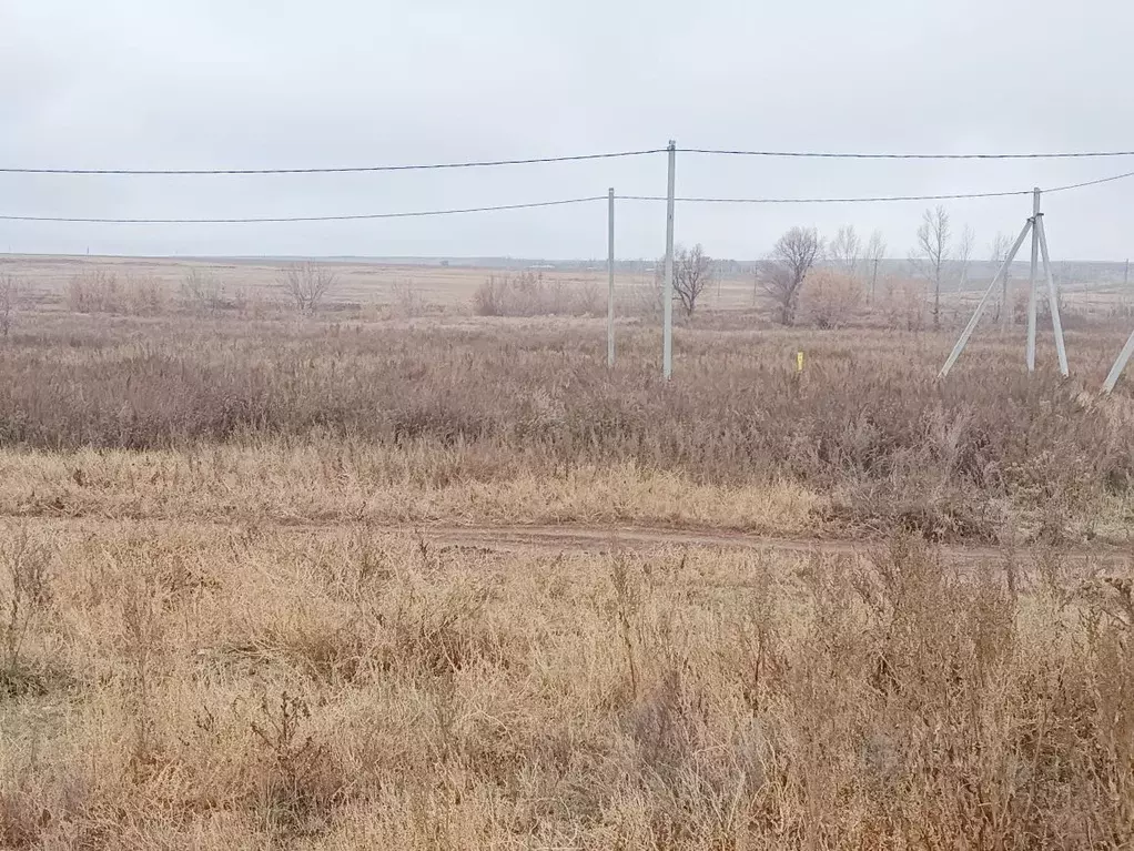 Участок в Оренбургская область, Оренбургский район, Пугачевский ... - Фото 0