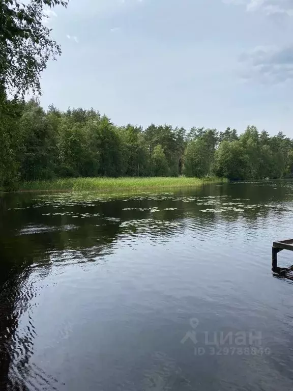 Участок в Ленинградская область, Приозерский район, Красноозерное ... - Фото 1
