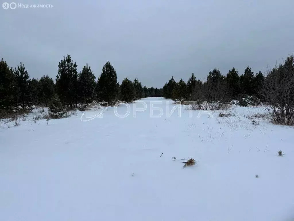 Участок в Свердловская область, посёлок городского типа Тугулым (7.7 ... - Фото 1