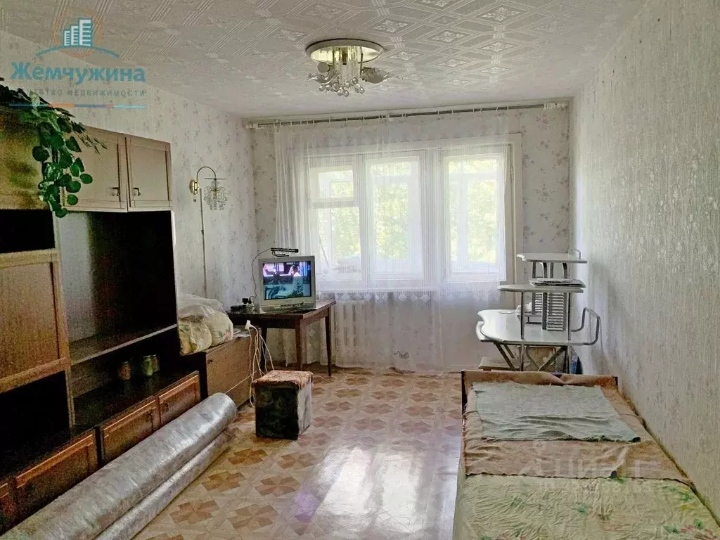 2-к кв. Ульяновская область, Димитровград ул. Курчатова, 16 (45.0 м) - Фото 1