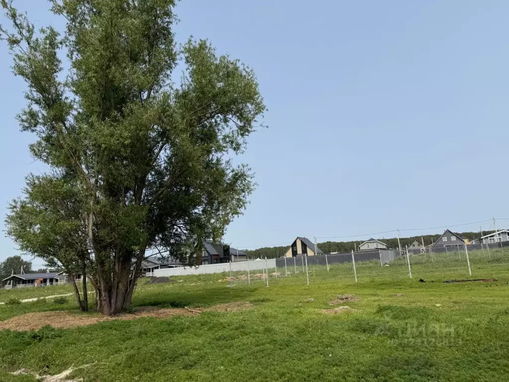 Участок в Московская область, Домодедово Новое Косино кп, 9 (5.13 ... - Фото 1