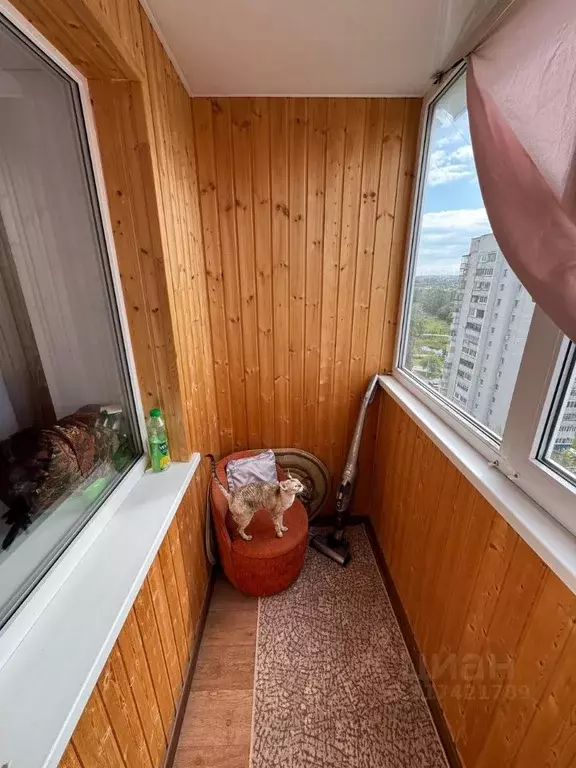 2-к кв. Белгородская область, Белгород ул. Чапаева, 1 (52.4 м) - Фото 1