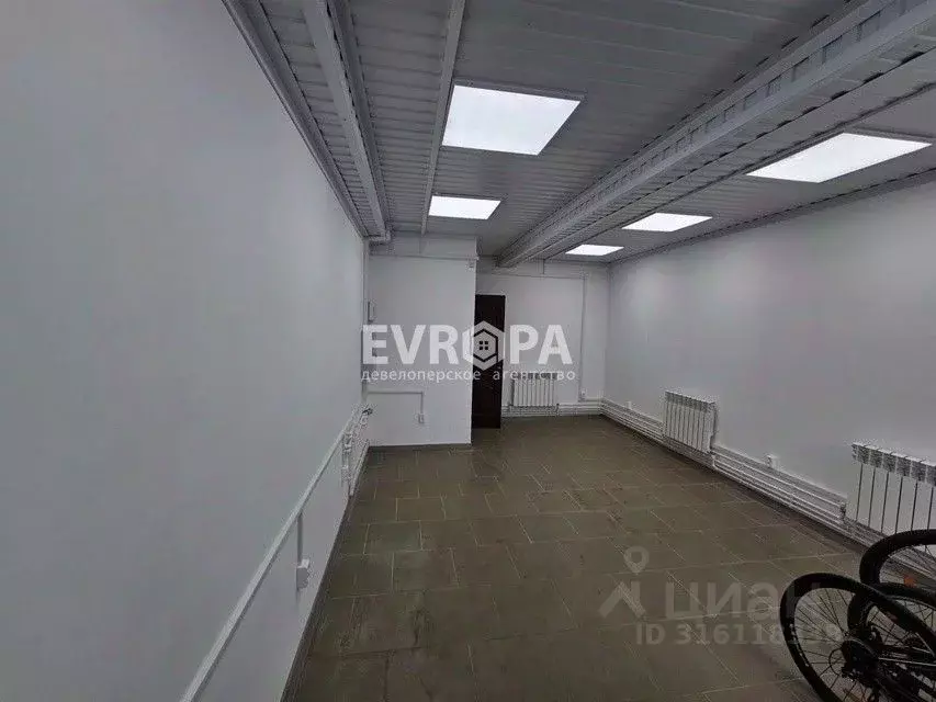 Торговая площадь в Ульяновская область, Ульяновск Ипподромная ул., 5Б ... - Фото 1