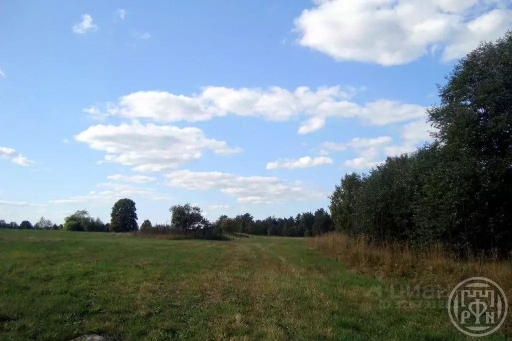 Участок в Ленинградская область, Выборгский район, Полянское с/пос, ... - Фото 2