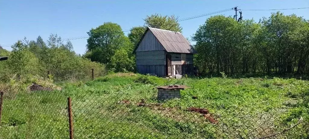 Дом в Псковская область, Палкинский район, Палкинская волость, д. ... - Фото 0