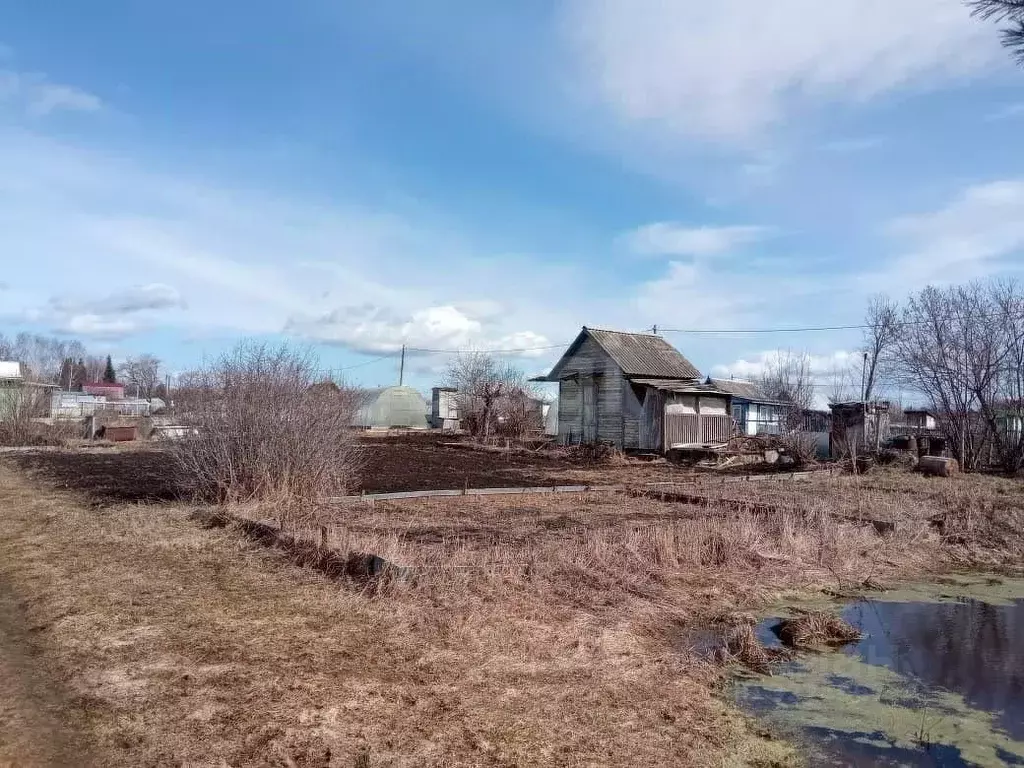 Участок в Вологодская область, пос. Грибково  (4.97 сот.) - Фото 2