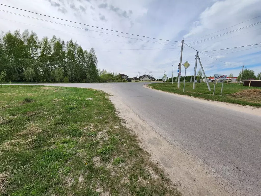 Участок в Нижегородская область, Богородский муниципальный округ, д. ... - Фото 2