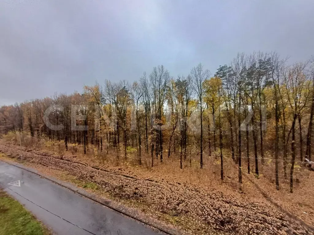 5-к кв. Липецкая область, Липецк Матырский мкр, ул. Энергостроителей, ... - Фото 1