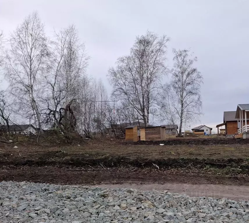 Участок в Новосибирская область, Новосибирский район, Каменский ... - Фото 1