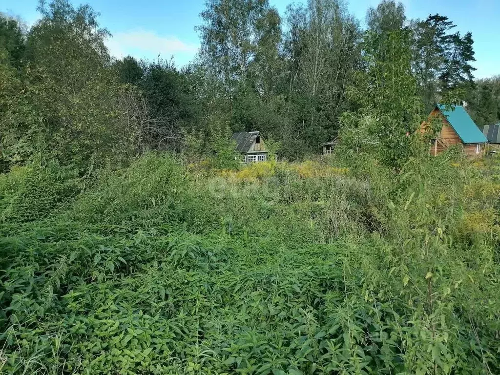 Участок в Новосибирская область, Новосибирский район, Барышевский ... - Фото 1