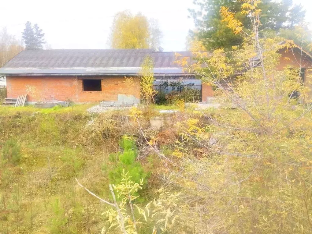 Участок в Новосибирская область, Бердск Дружба садоводческое ... - Фото 0