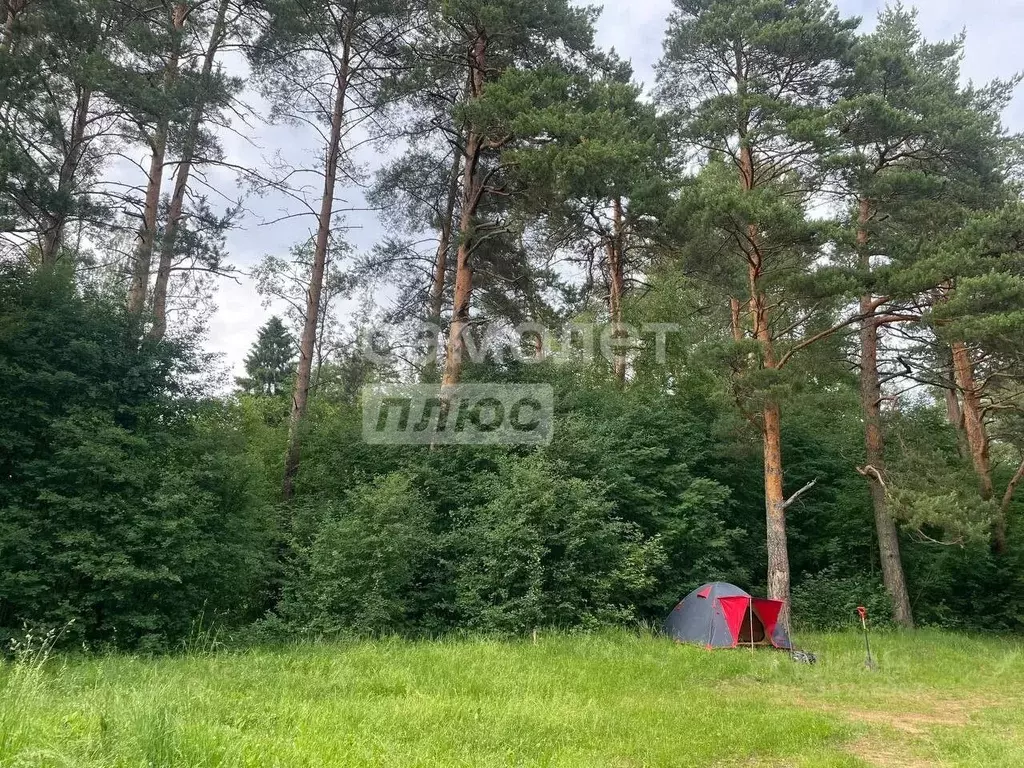 Участок в Ярославская область, Угличский район, Слободское с/пос, д. ... - Фото 1