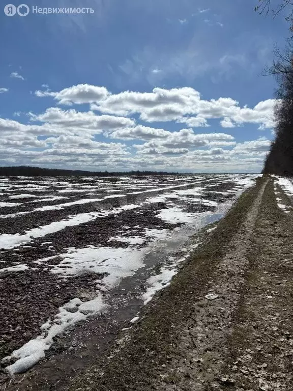 Участок в сельское поселение Романово, деревня Обухово (550 м) - Фото 0