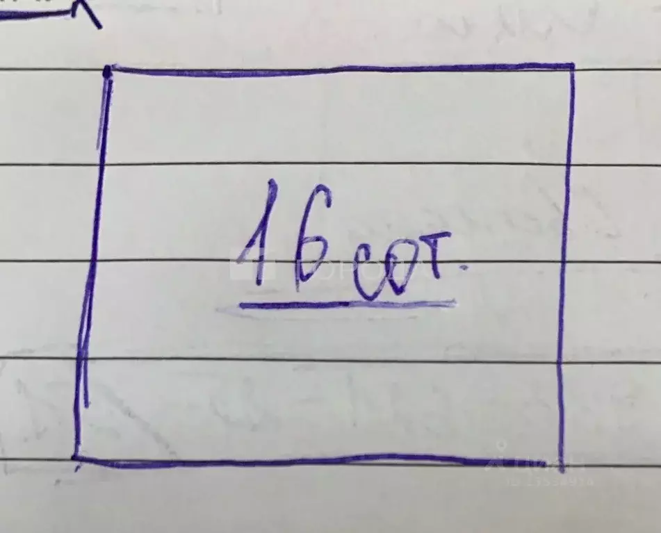 Участок в Алтайский край, Первомайский район, с. Зудилово ... - Фото 2