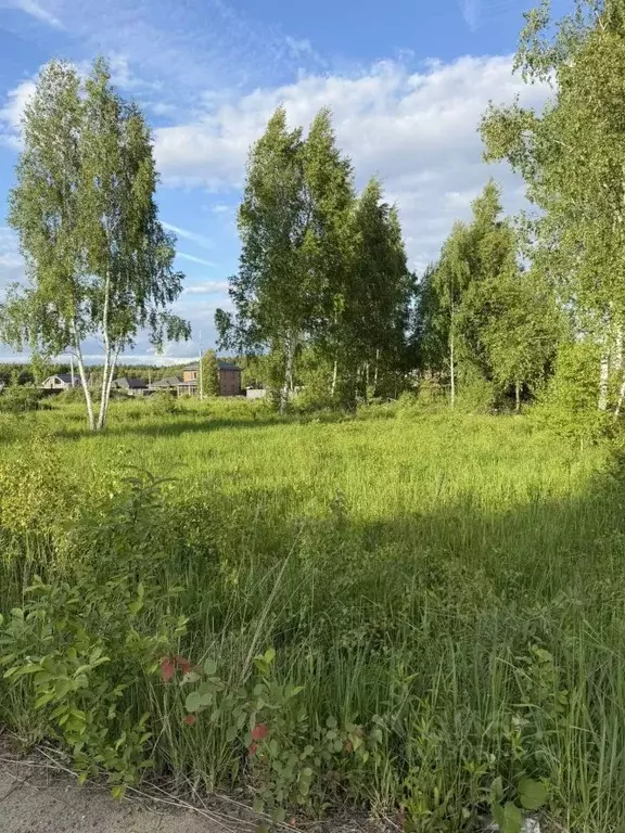 Участок в Московская область, Раменское Дергаево-2 кп, ул. Суворова, ... - Фото 2