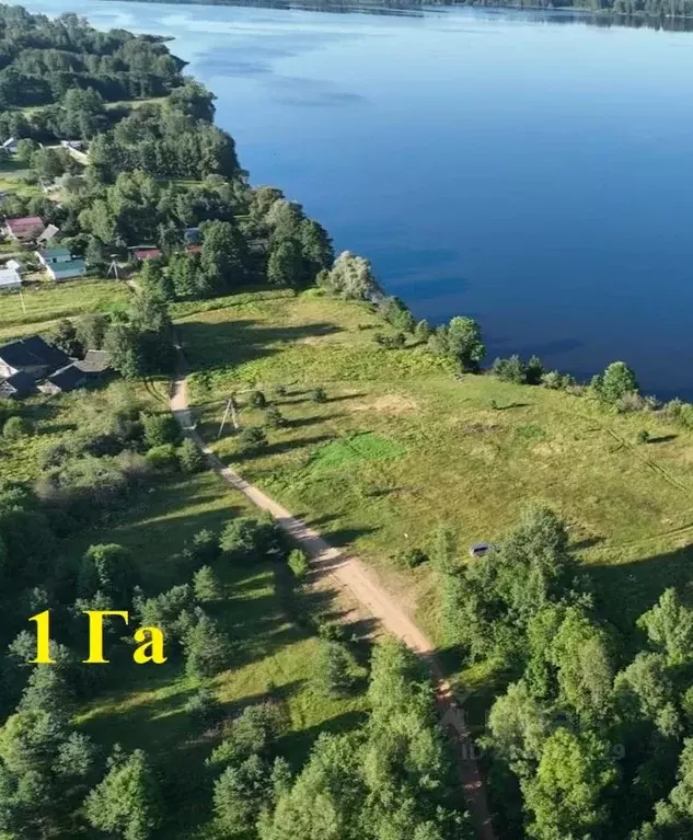 Участок в Тверская область, Осташковский муниципальный округ, д. ... - Фото 1