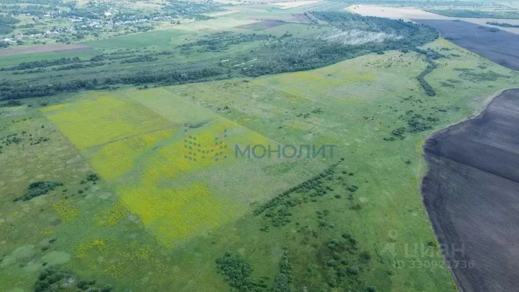 Участок в Нижегородская область, Лысковский район, с. Саурово Нижняя ... - Фото 1