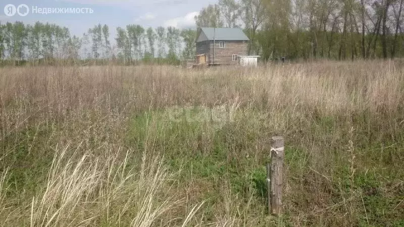 Участок в Первомайский район, посёлок Новый, микрорайон Александрова ... - Фото 0