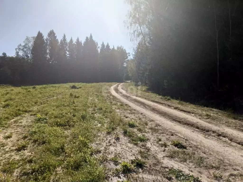 Участок в Калужская область, Жуковский муниципальный округ, Высокиничи ... - Фото 2