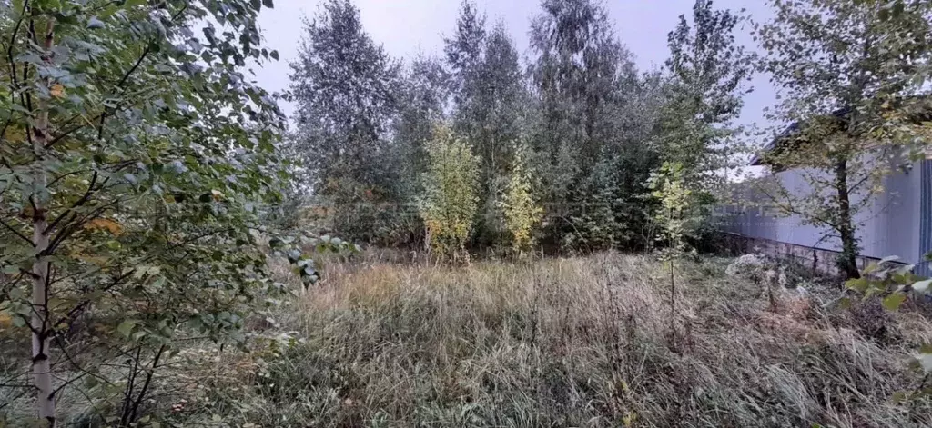 Участок в Татарстан, Пестречинский район, Богородское с/пос, д. Куюки  ... - Фото 1