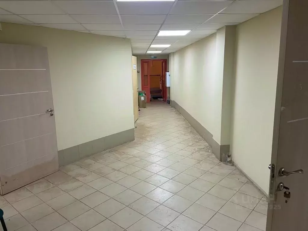 Помещение свободного назначения в Липецкая область, Липецк ул. П.И. ... - Фото 2