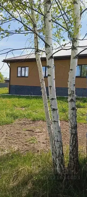 Дом в Тульская область, Тула городской округ, с. Фалдино 1 (127 м) - Фото 0