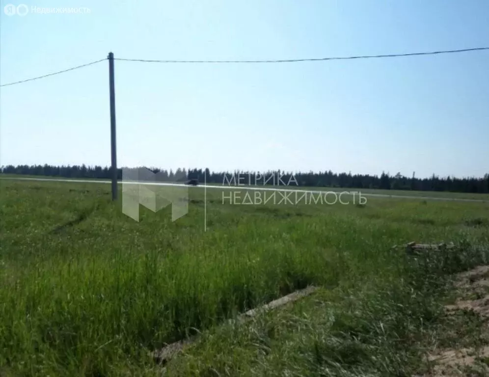 Участок в Тюмень, микрорайон Верхний Бор, улица Дружбы (10 м) - Фото 1