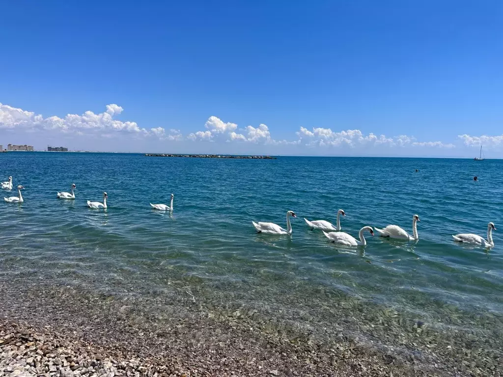 2-к кв. Крым, Евпатория городской округ, Заозерное пгт ул. Аллея ... - Фото 2