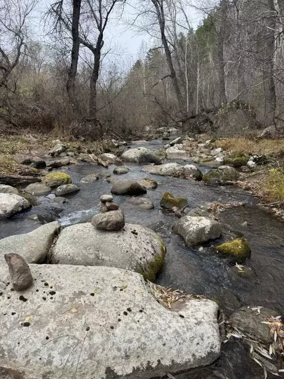 Участок в Алтайский край, Смоленский район, с. Черновая  (3.5 сот.) - Фото 1