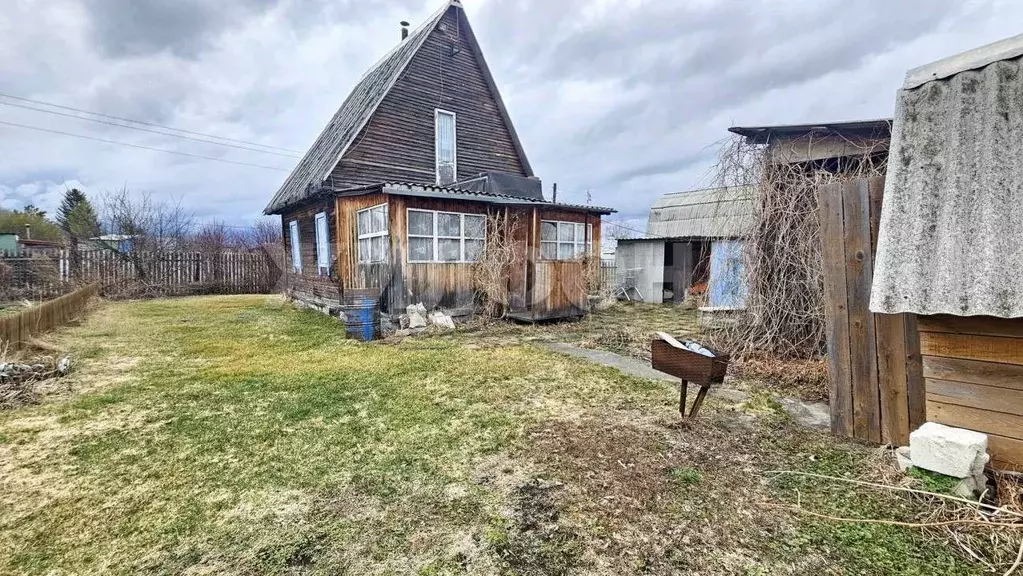 Дом в Новосибирская область, Коченевский район, Березка-1 СНТ  (50 м) - Фото 1
