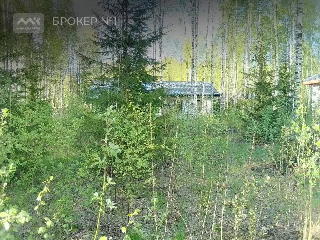 Участок в Ленинградская область, Всеволожск Новая ул., 12А (8.3 сот.) - Фото 2