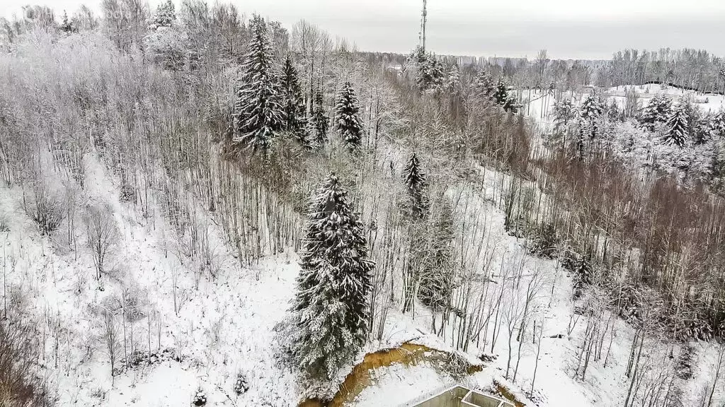 Участок в Юкки, Спортивная улица (15 м) - Фото 2