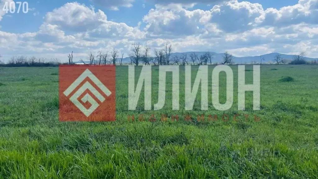 Участок в Крым, Кировский район, Приветненское с/пос, с. Айвазовское ... - Фото 2