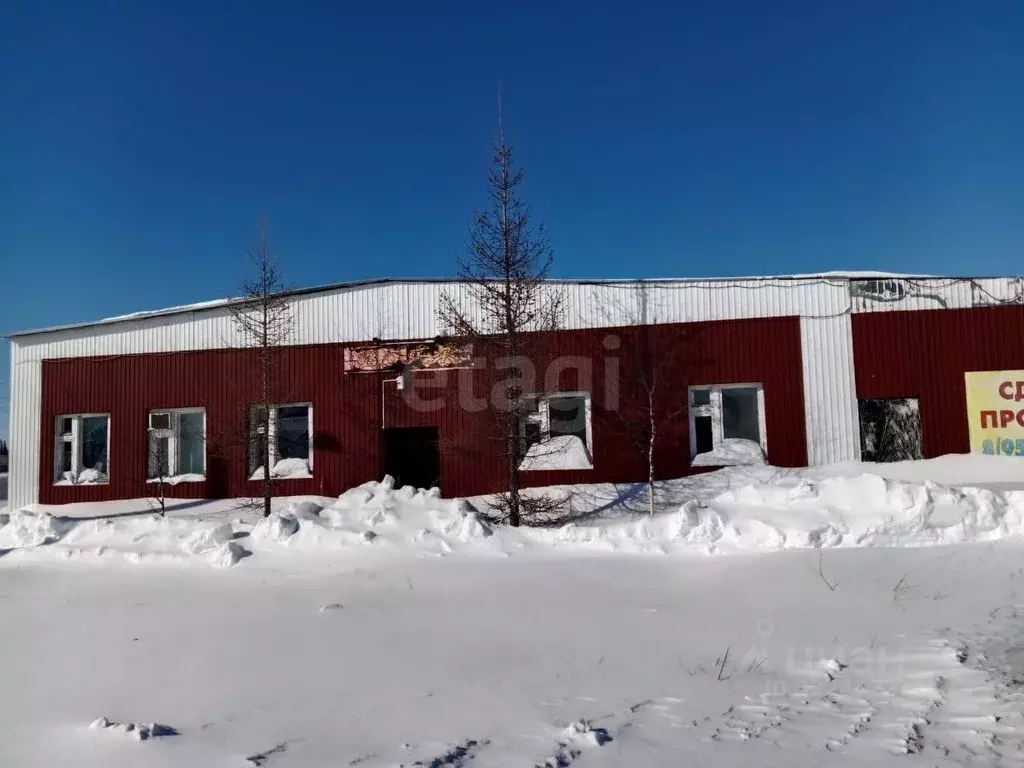 Помещение свободного назначения в Ямало-Ненецкий АО, Надымский район, ... - Фото 1