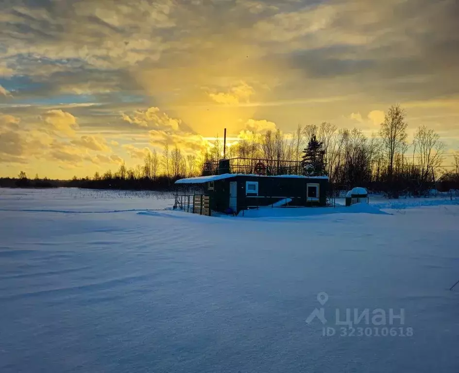 Дом в Карелия, Кондопожский район, Янишпольское с/пос, д. Кодогуба  ... - Фото 2